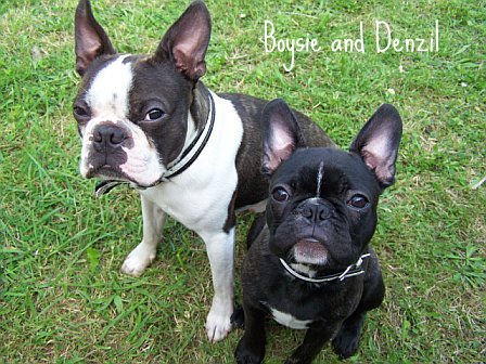Boysie and Denzil